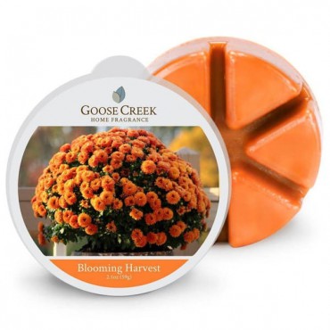 Wosk zapachowy Blooming Harvest Goose Creek Candle
