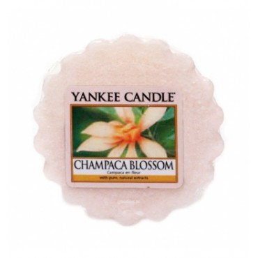 Wosk Champaca Blossom Yankee Candle