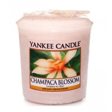 Sampler Champaca Blossom Yankee Candle
