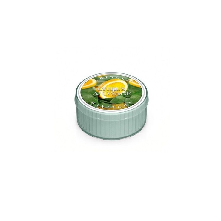 Świeczka Citrus and Sage Kringle Candle