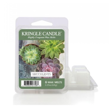 Wosk zapachowy Succulents Kringle Candle