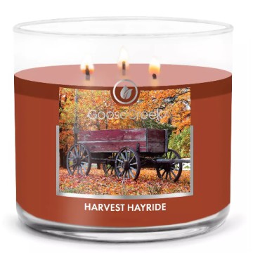 Świeca Tumbler Harvest Hayride Goose Creek Candle