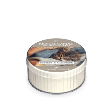 Daylight świeczka Kittens & Cashmere Kringle Candle