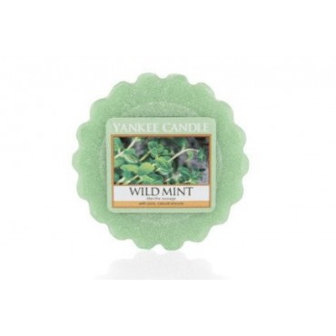Wosk Wild Mint Yankee Candle